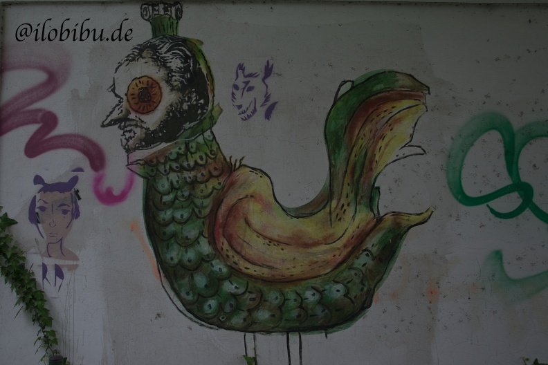 DSC_0165.jpg